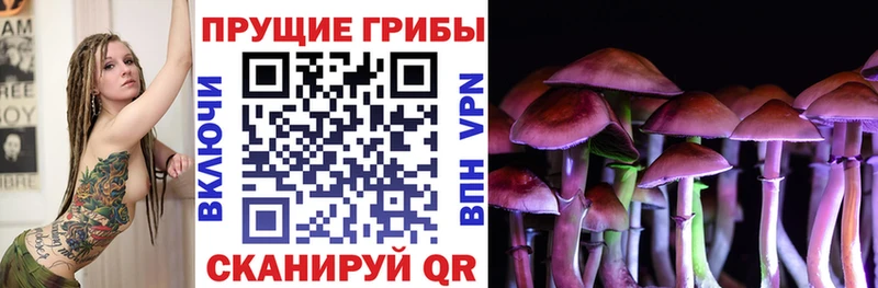 Псилоцибиновые грибы прущие грибы Балаково